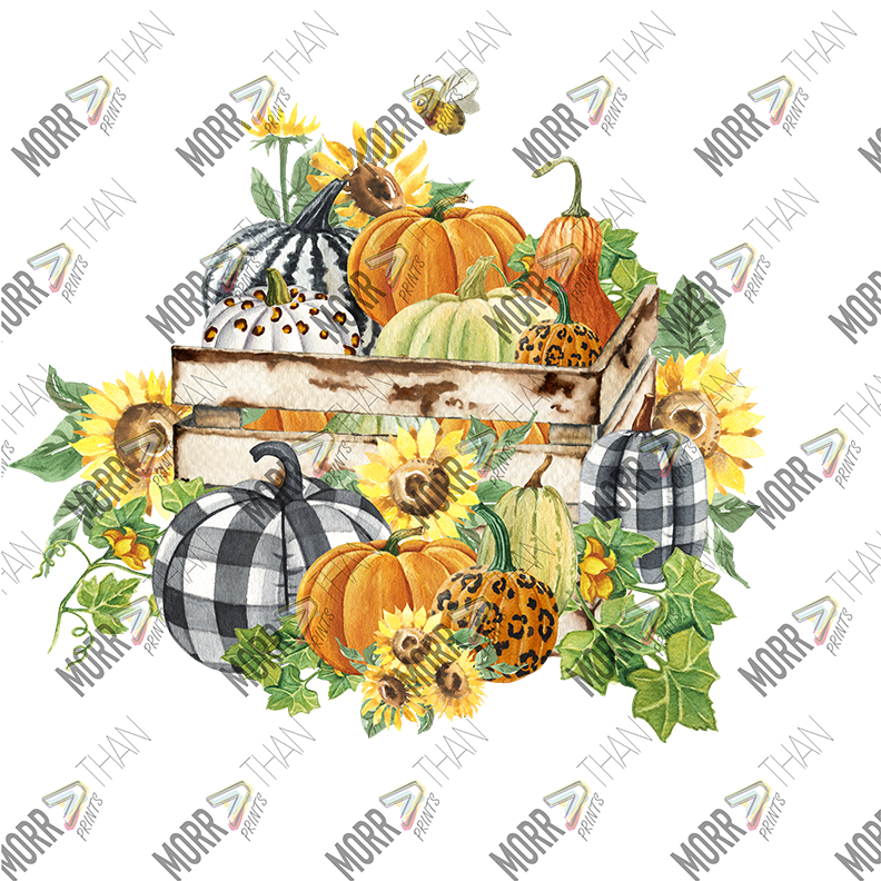 Fall Fence and Pumpkins