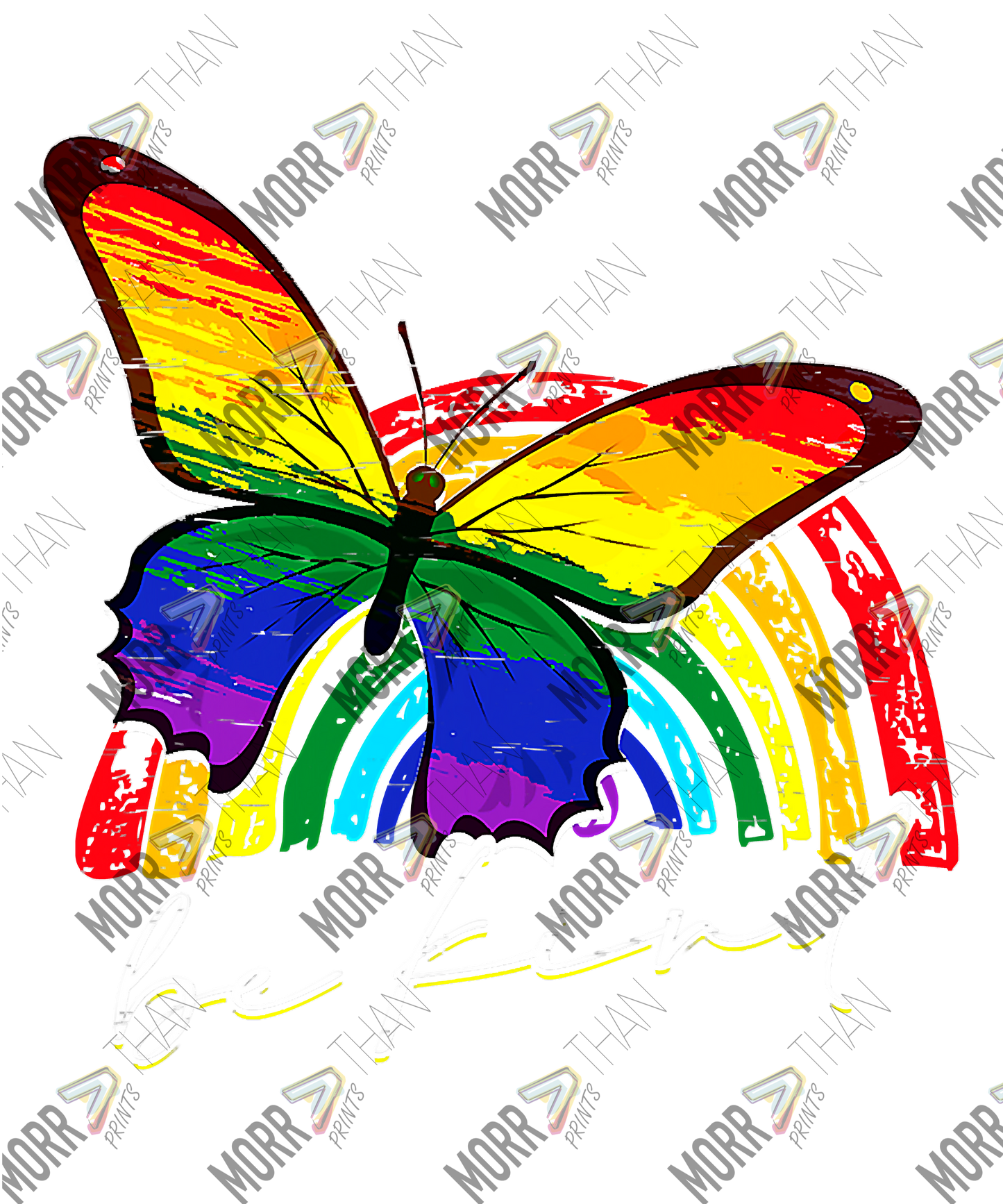 Rainbow and Rainbow Butterfly