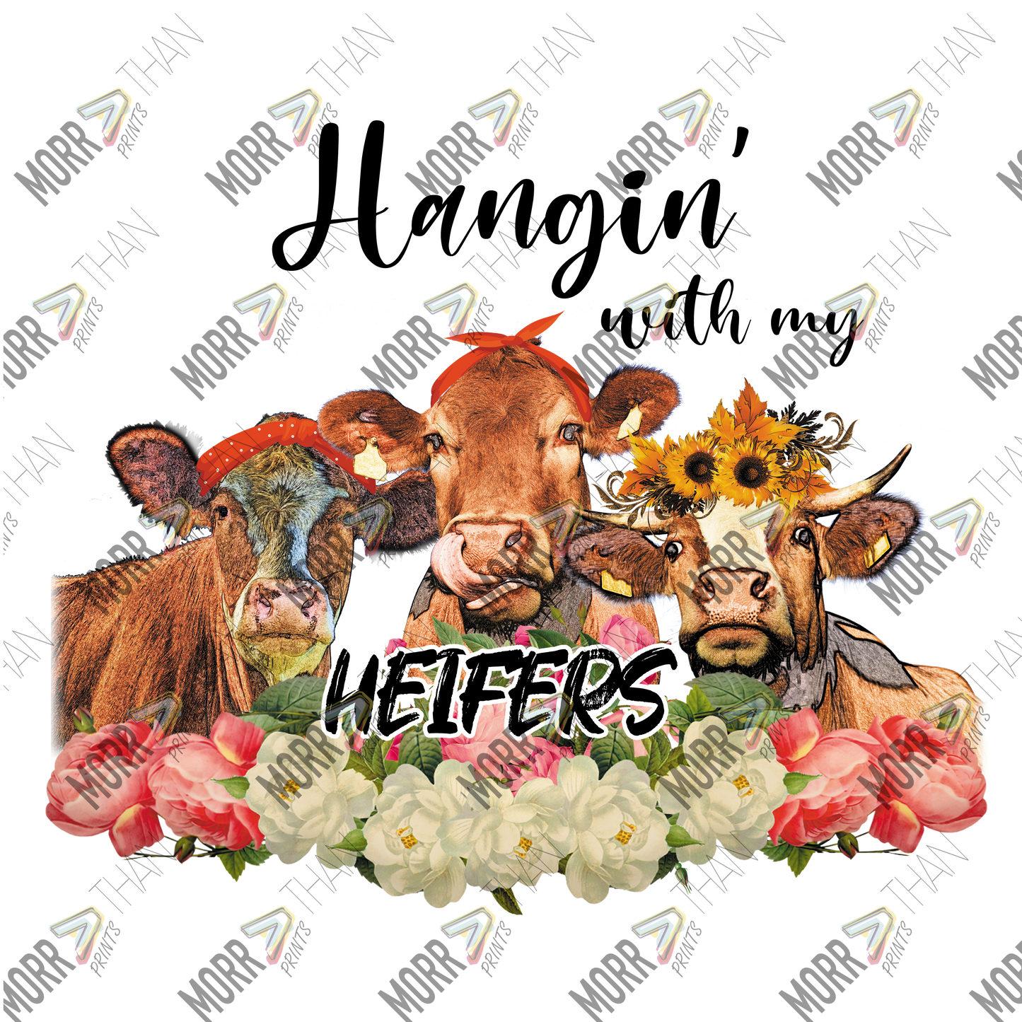 Haning' With My Heifers