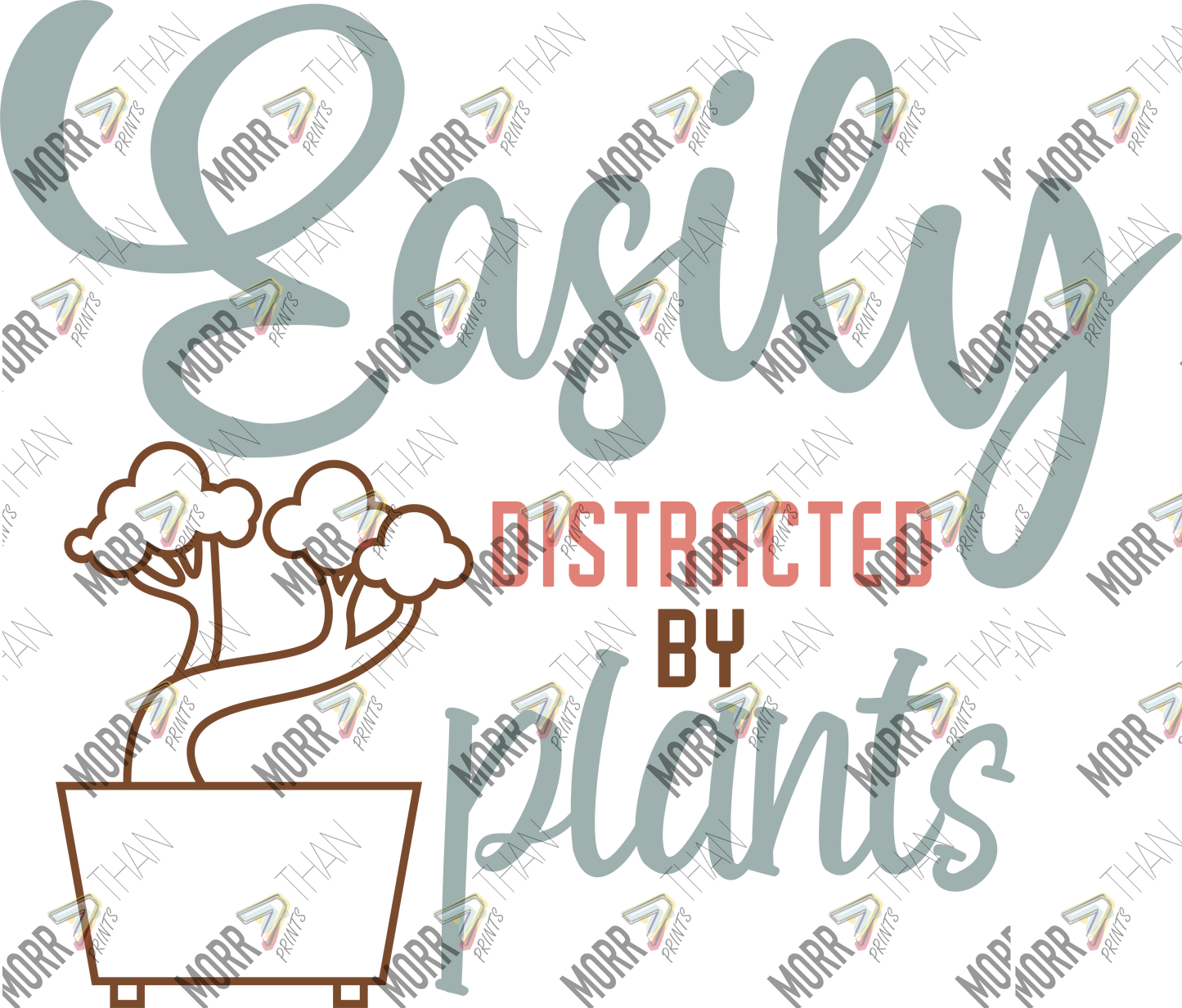 Easily Distracted By Plants Bonsai