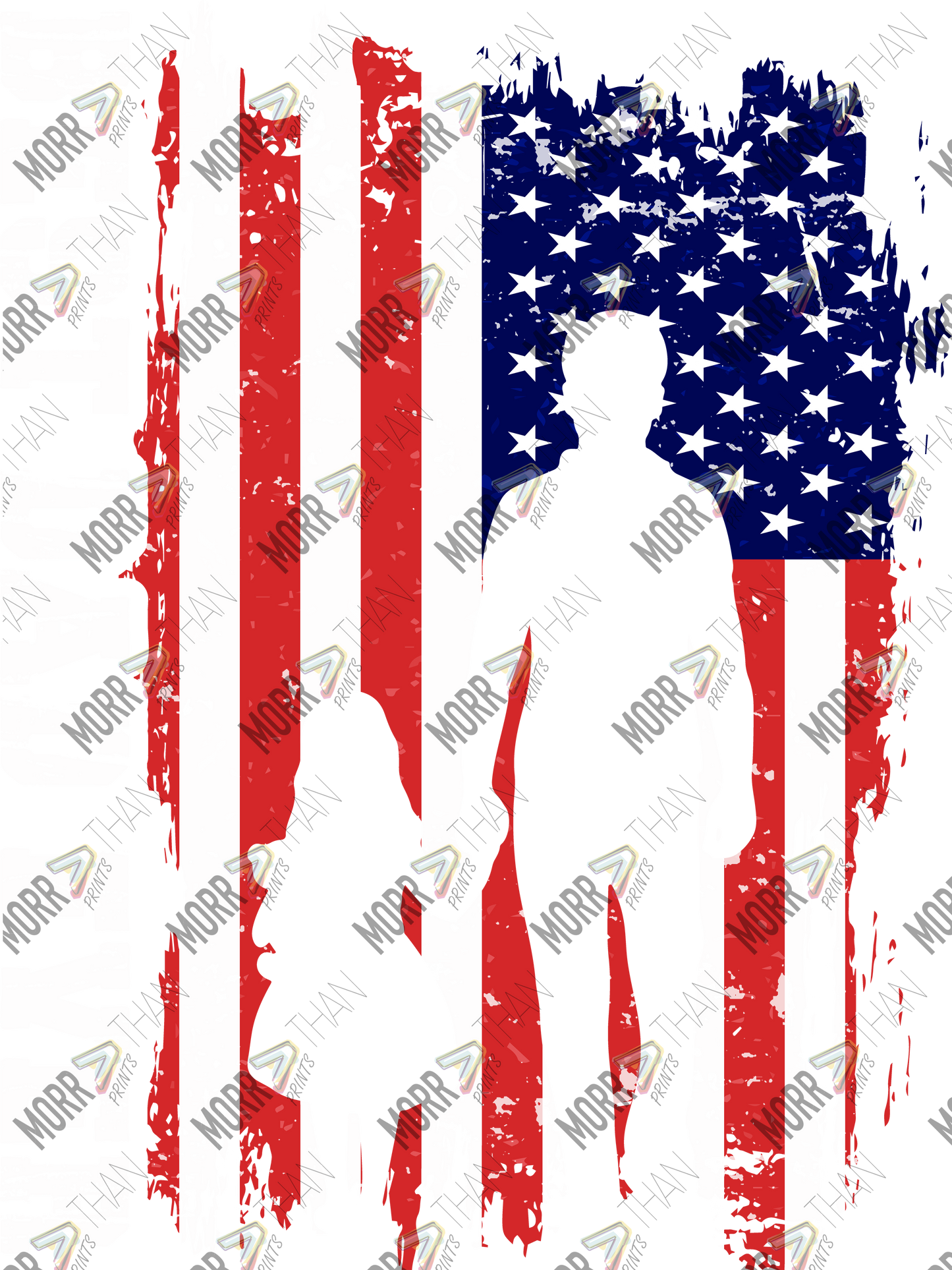 Father Daughter American Flag