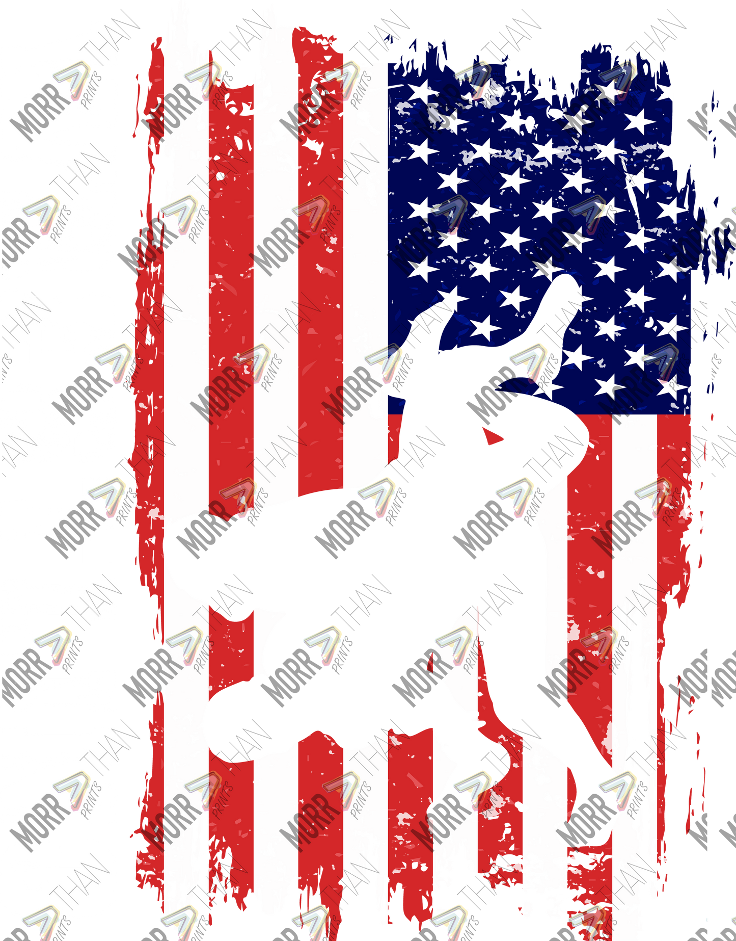 American Flag Wrestling