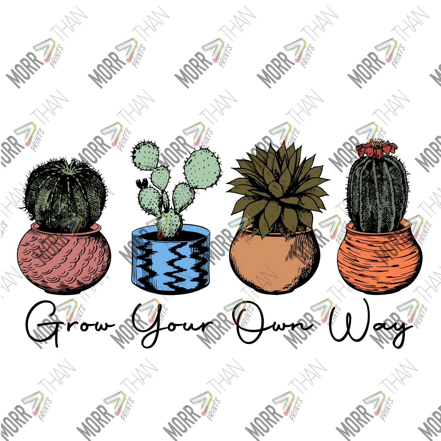 Grow Your Own Way Cacti