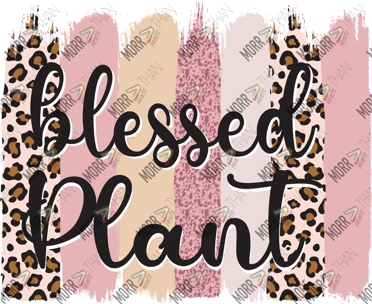 Blessed Plant Striped Sparkles