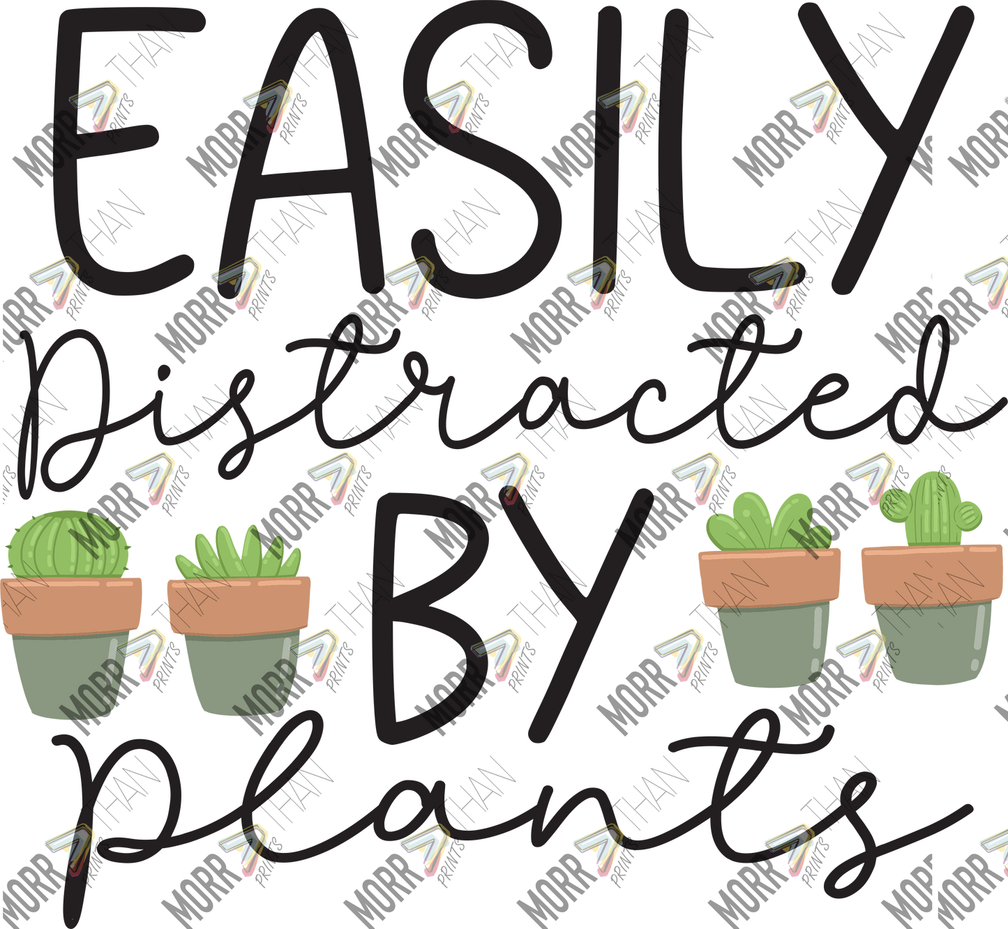 Easily Distracted By Plants Cacti