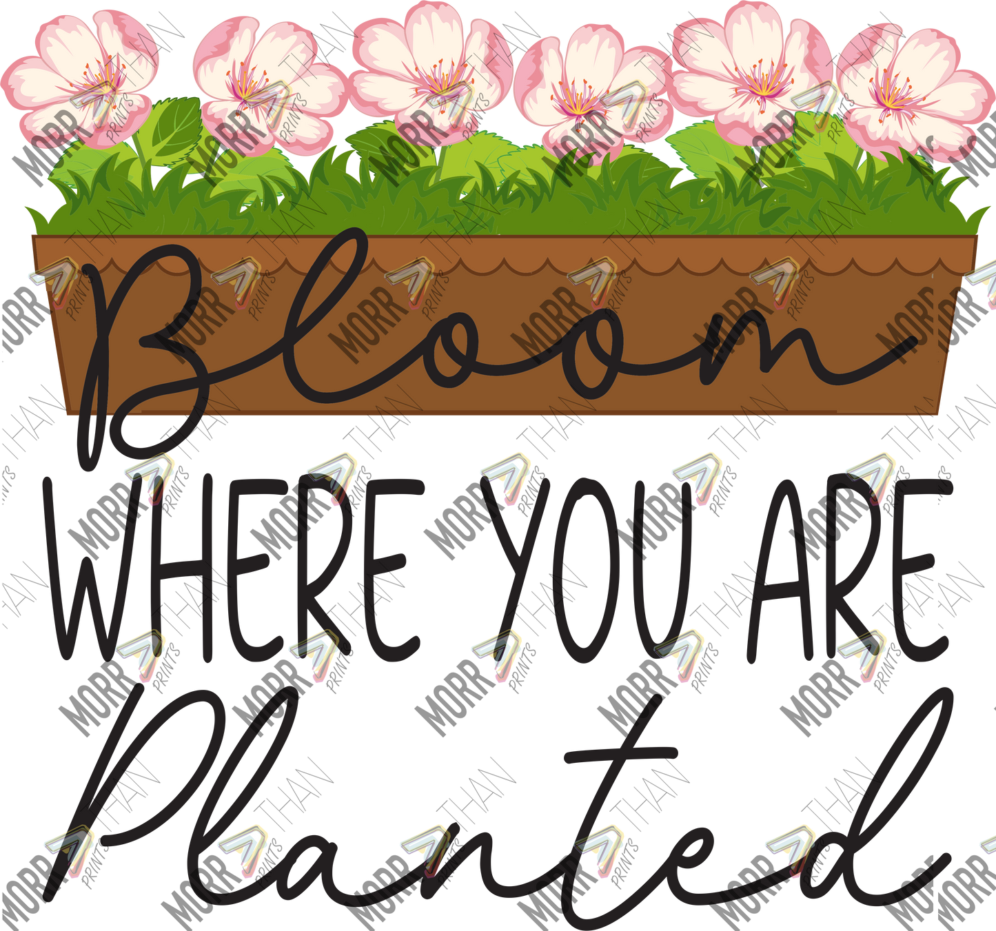 Bloom Where You Are Planted Planter