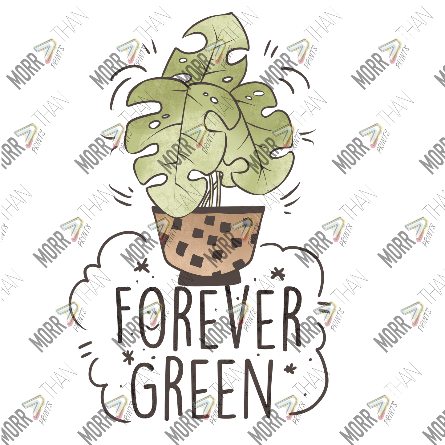 Forever Green Monstera