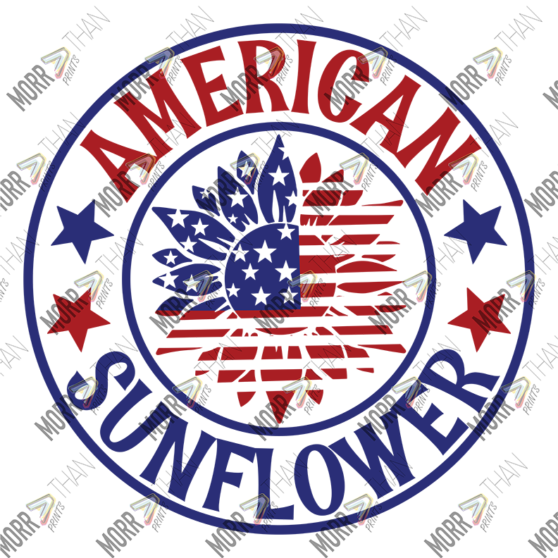American Sunflower Circled