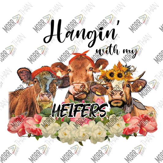 Haning' With My Heifers