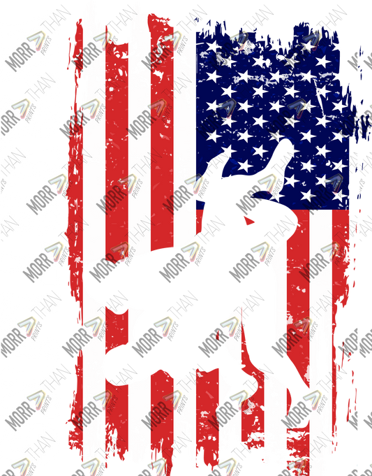 American Flag Wrestling