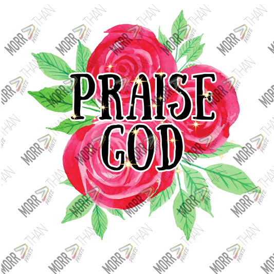 Praise God Roses