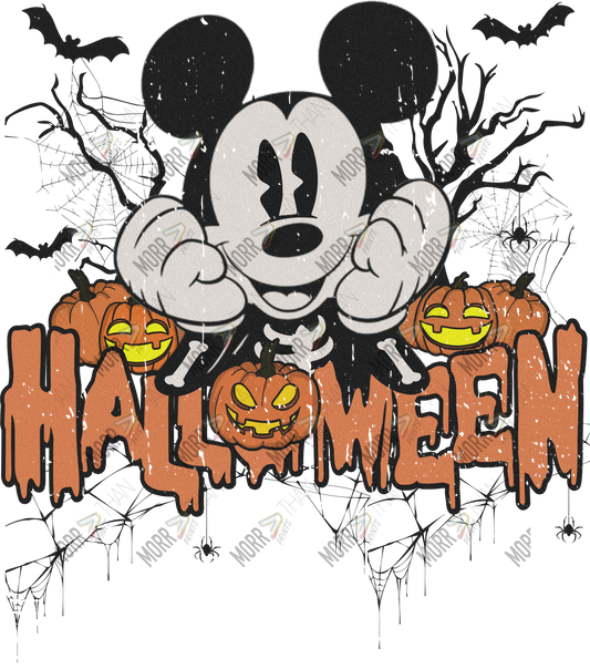 Boy Mouse Halloween Spiderweb DTF Print