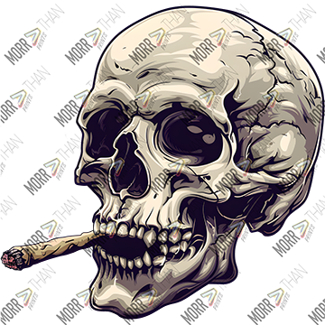 Skull with Joint