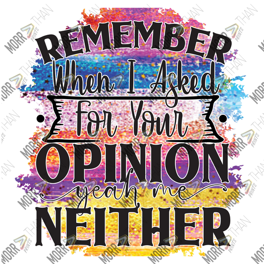 Remember When I Asked For Your Opinion. Me Neither